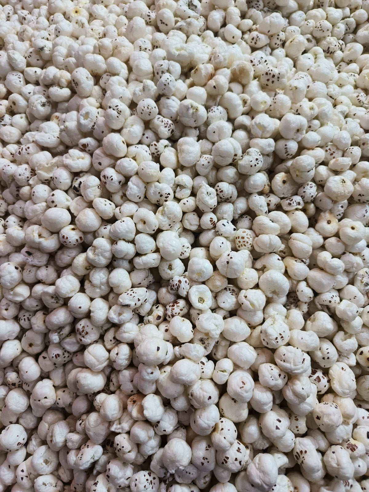 Regular Phool Makhana (250g)